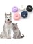 Luxury Airtag Kedi ve Köpek Tasma Kılıfı 1 Adet 1