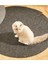 Luxury Skep Kedi Evi Kedi Kulübesi Yatağı Kedi Evi Matı 1 Adet 3
