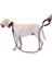 Luxury Reflektörlü Köpek Tasması 130 Cm. 1 Adet 1