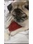 Luxury Köpek Kedi Yatak Seti 1 Adet 2