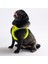 Luxury Neon Sarı Air-Mesh Göğüs Tasması Kedi Köpek Göğüs Tasması 1 Adet 1