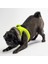 Luxury Neon Sarı Air-Mesh Göğüs Tasması Kedi Köpek Göğüs Tasması 1 Adet 2