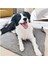 Luxury Peluş Köpek Battaniyesi 60X80 cm 1 Adet 3