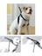 Luxury Dog Training Xs (34"x9-12") Eğitim Tasması 673143 1 Adet 1