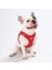 Luxury Kırmızı Air-Mesh Göğüs Tasması Kedi Köpek Göğüs Tasması 1 Adet 1