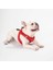 Luxury Kırmızı Air-Mesh Göğüs Tasması Kedi Köpek Göğüs Tasması 1 Adet 2