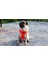 Luxury Air-Mesh Küçük ve Orta Irk Kedi Köpek Göğüs Tasması Yumuşak,nefes Alabilir, Dayanıklı Mor 1 Adet 2