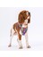 Luxury Puzzle Air-Mesh Göğüs Tasması Kedi Köpek Göğüs Tasması 1 Adet 1
