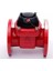 DN65 200MM Woltman Tip Sıcak Su Sayacı 1