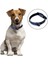 Luxury ® Yumuşak Dokulu Deri Köpek Gezdirme Boyun Tasması (Large) 1 Adet 2