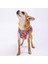 Luxury Balloons Air-Mesh Göğüs Tasması Kedi Köpek Göğüs Tasması 1 Adet 3