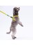 Luxury Cactus Leash & Air-Mesh Kedi Köpek Tasma ve Gezdirme Kayışı Seti Tasma Seti 1 Adet 5