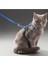 Luxury Kedi Boyun ve Göğüs Tasması 1 Adet 1