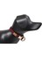 Luxury G-Dog Köpek Boyun Tasması Koyu Kahve L-Xl 40-68 cm 20 mm 1 Adet 1