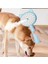 Luxury Kedi ve Köpekler Için Buharlı Masaj Tarağı 1 Adet 3