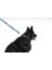 Luxury Small Wonder Woman Köpek Tasması 1 Adet 3