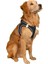 Luxury Mita Air Mesh Kedi Köpek Göğüs Tasması Çift Reflektörlü, Terletmeyen Neon Sarı / neon Yellow Xs 1 Adet 3