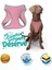 Luxury Mita Air Mesh Kedi Köpek Göğüs Tasması Çift Reflektörlü, Terletmeyen Neon Sarı / neon Yellow Xs 1 Adet 5