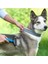 Luxury UG01 Plastik Saplı Metal Kedi Köpek Bakım Kıtık Tüy Topak Açıcı Tarak () 1 Adet 3
