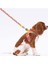 Luxury Monsters Leash Kedi Köpek Sevk & Gezdirme Kayışı Köpek Uzatma Tasması 1 Adet 3