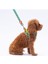Luxury Ducks Leash Kedi Köpek Sevk & Gezdirme Kayışı Köpek Uzatma Tasması 1 Adet 3