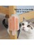 Luxury Kedi Otu Hazneli Kedi Kaşınma Aparatı 1 Adet 3