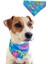 Luxury Sahil Havhavları Temalı Köpek Fuları (S, M, L) Ayarlanabilir Bandana, Köpek Aksesuarı 1 Adet 1