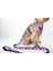 Luxury Air-Mesh Tasma Seti Pinky Cow Model 1 Adet 5
