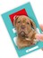 Luxury Yavru Retriever Desenli Şeffaf Evcil Hayvan Pasaport Kabı Kılıfı 1 Adet 1