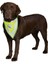 Luxury Köpek Bandanalı Tasma Xlarge 42-60 cm 1 Adet 1