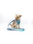Luxury Air-Mesh Tasma Seti Pizza Model 1 Adet 4