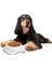 Luxury Silikon Kaydırmaz Taban Plastik Kedi ve Köpek Mama ve Su Kabı 2 L 1 Adet 2