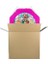 Toca Boca Pinyata 42 cm + Sopası 2