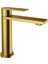 Lavabo Bataryası FJ-SS1012 (Fırçalanmış Altın) 1