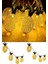 Dekoratif Pilli Pineapple Ananas Pilli Şerit LED Işık (1 Metre) (4767) - TGR2418-3030 3