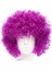 Koyu Mor Renk Violet Afro Bonus Saç Peruk - TGR5919-6163 1