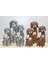 Ahşap 3'lü Köpek Seti 3trendy-1 - MCT4880-8604 1