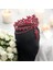 Alınlıklı Gelin Tacı ,kına,nişan,söz,after,bride,party Taç 2