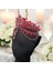 Alınlıklı Gelin Tacı ,kına,nişan,söz,after,bride,party Taç 3