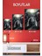 Metal Tablo - The Walking Dead, Twd, Zombi, Dizi Poster Film Tablosu 5