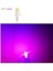 (4xadet) 1 Set Bottomless Bulb Mını 12V T5 ( Mini Dipsiz Ampul ) 3