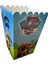 Mısır Kutusu Paw Patrol 1