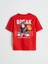 Lcw Kids Bisiklet Yaka Nostaljik Maymun Baskılı Erkek Çocuk Tişört (S5) 3