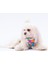 Luxury Mosaic Air-Mesh Göğüs Tasması Kedi Köpek Göğüs Tasması 1 Adet 1