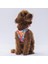 Luxury Mosaic Air-Mesh Göğüs Tasması Kedi Köpek Göğüs Tasması 1 Adet 5