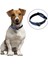 Luxury Yumuşak Dokulu Deri Köpek Gezdirme Boyun Tasması (Large) (5064) 1 Adet 1