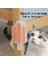 Luxury Kedi Otu Hazneli Kedi Kaşınma Aparatı 1 Adet 3