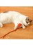 Luxury Şarjlı Kedi Oyuncağı 1 Adet 5
