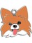 Luxury Pet Tag - Papillon Köpek Künyesi 1 Adet 1