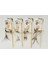Luxury Nature First Cat Toy - Ipli Doğal Kedi Oyuncağı 35.5x9.5cm 1 Adet 1